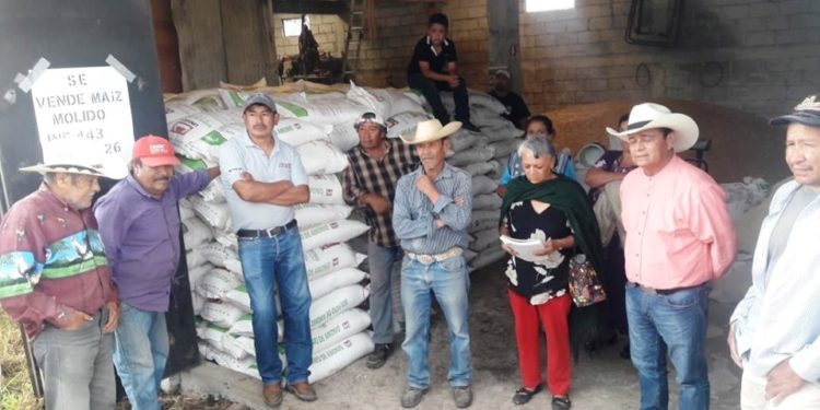 El sector agrícola debe tener prioridad permanente; Salvador Arvizu