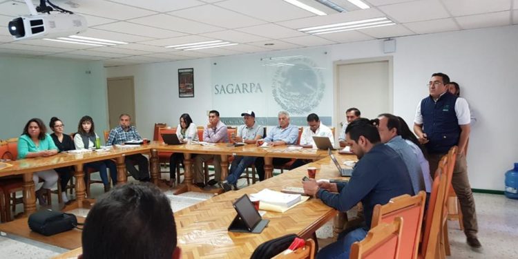 Beneficia federación a 82 mil productores de Michoacán