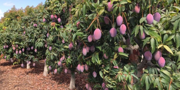 Lamenta Gobierno de Michoacán la pérdida de 4 servidores públicos