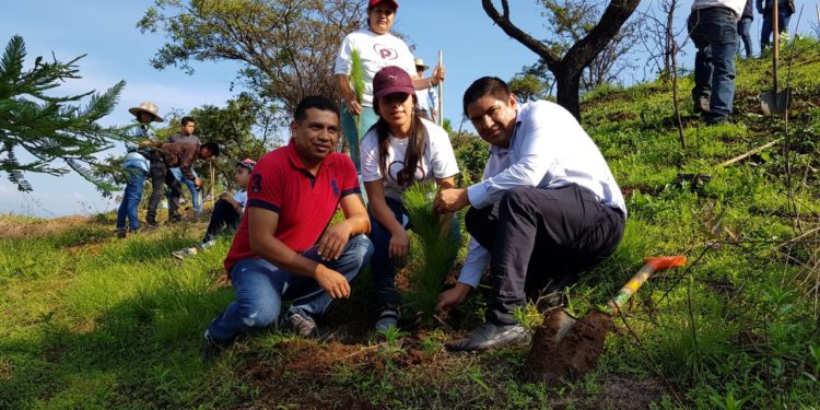 Plantar un árbol, es plantar vida: Francisco Cedillo