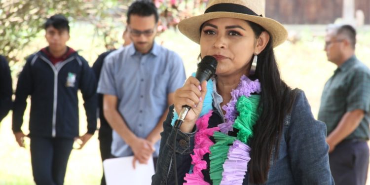 Efectos de cambio climático nos obliga a todos a una actuación inmediata: Araceli Saucedo Reyes