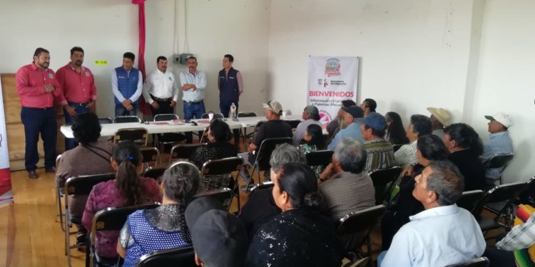 Volarán 93 Palomas Mensajeras, de Penjamillo y Erongarícuaro, a Estados Unidos