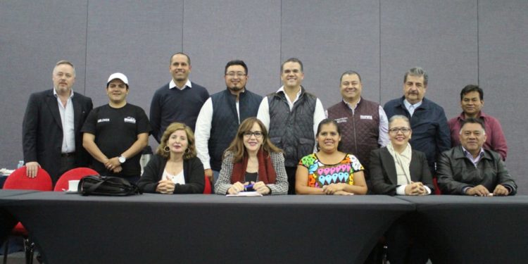 Plan Nacional de Desarrollo, prioridad para diputados de Morena: Fermín Bernabé