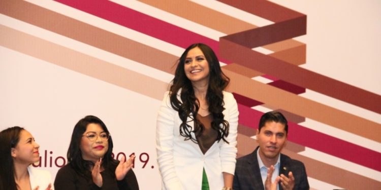 PRD no será factor de desestabilización en definición del Auditor Superior de Michoacán: Araceli Saucedo