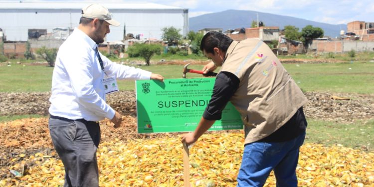 Suspende ProAm tiradero de residuos de mango en Zamora