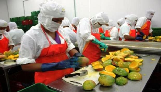 Productores del Campo con nueva opción de innovación impulsada en SEDRUA