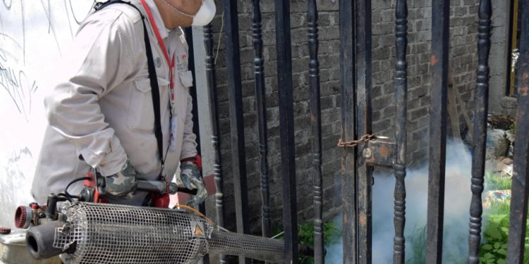 Más de 49 mil acciones vectoriales ha realizado la SSM para el combate del dengue