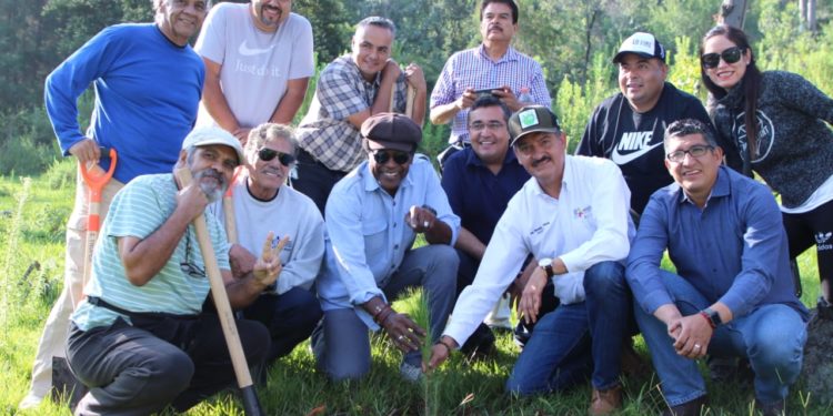 Reforestación, la medida más eficaz para impulsar la restauración ecológica de los bosques