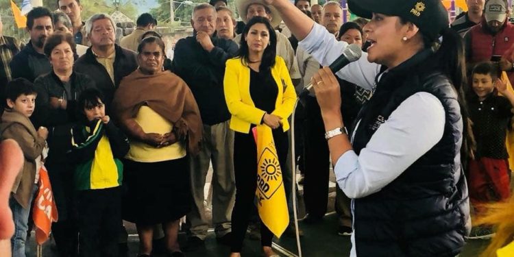 Por el progreso del país el PRD debe permanecer firme y unido: Araceli Saucedo Reyes