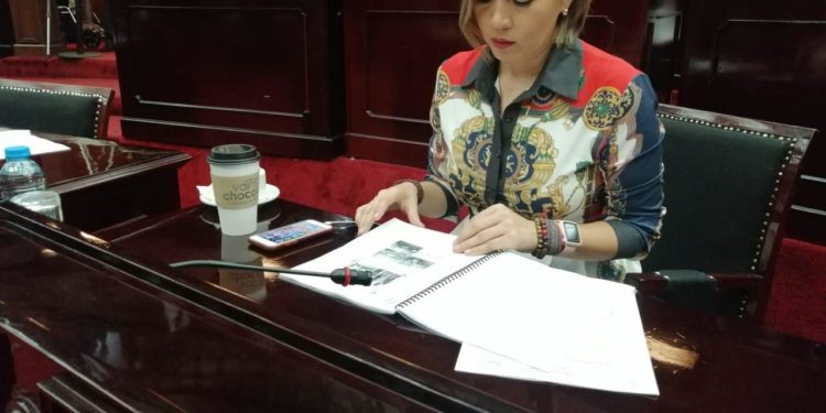 Propone Yarabí Ávila ampliar agravantes en delito de abuso sexual