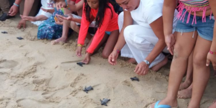 Ixtapilla, Santuario tortuguero de gran arraigo en Michoacán
