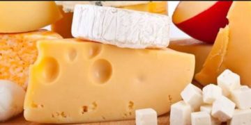 Produce Michoacán 8.5 millones de toneladas de quesos: Sedrua