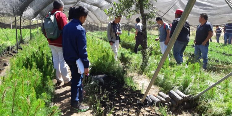 En nuevo ciclo lectivo, Cobaem reforzará acciones del programa Ecobaem