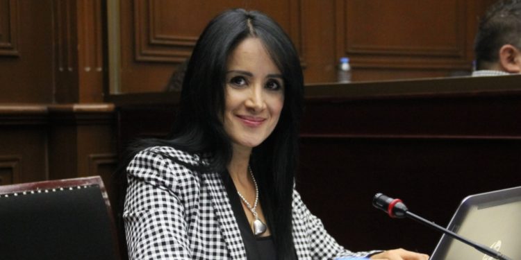 Cumple comisión de Igualdad Sustantiva y de Género al no acumular rezago: Lucila Martínez