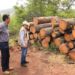 Decomisa Mesa de Seguridad Ambiental, madera procedente de tala ilegal en Charo
