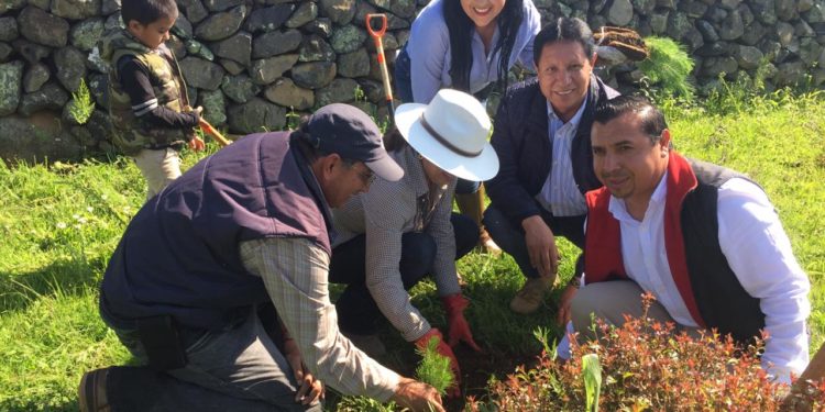Reforestan comunidades en Tzintzuntzan: Semaccdet