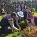 Reforestan comunidades en Tzintzuntzan: Semaccdet