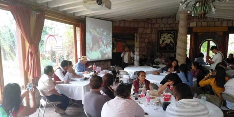 Cumple 3 años de su creación Fusión Frente por Michoacán