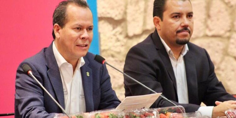 Producción de fresa en Michoacán, la más tecnificada del mundo