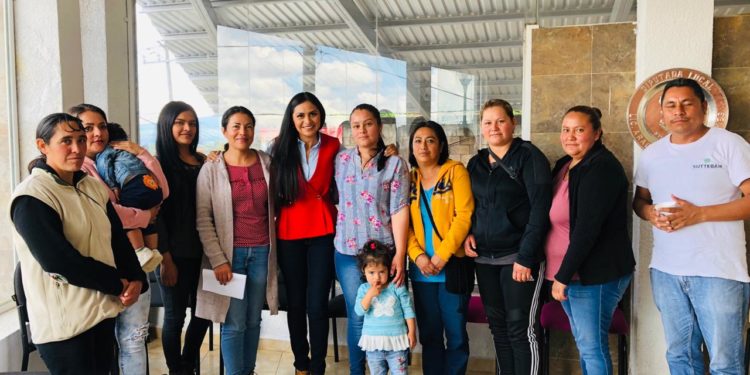 Necesario ahondar políticas públicas contra el consumo de alcohol: Araceli Saucedo