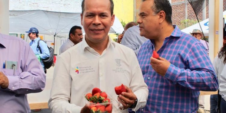 Se reinventa la agricultura en Michoacán: Sedrua