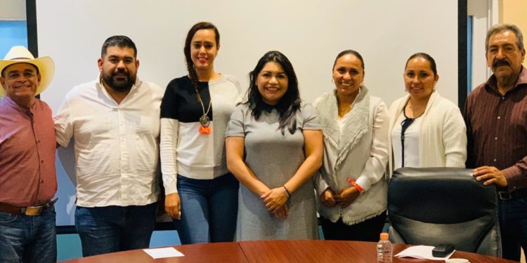 Diputados michoacanos locales y federales del PT afinan agenda común