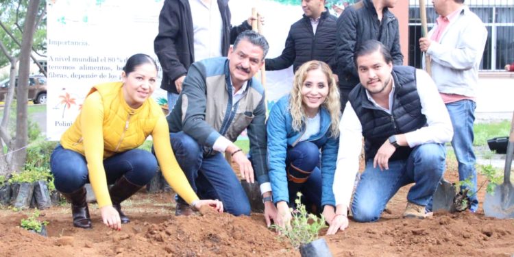 Instalan noveno jardín para polinizadores en la UTM