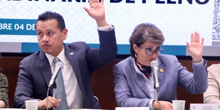 Diputados de Morena aprueban etiquetado frontal de productos para combatir obesidad: Torres Piña