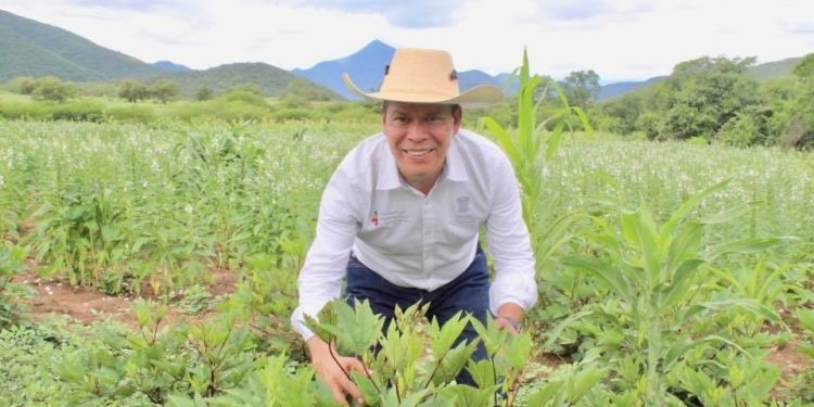 Jamaica michoacana, lista para los ponches: Sedrua
