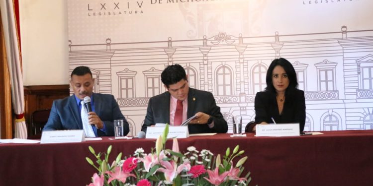 Congreso aliado de la lucha contra la discriminación y violencia: Lucila Martínez