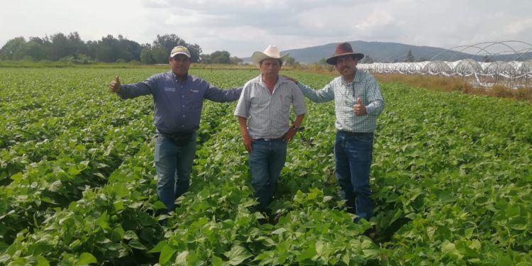 Agricultura Sustentable, es ya una política pública en Michoacán: Sedrua
