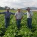 Agricultura Sustentable, es ya una política pública en Michoacán: Sedrua