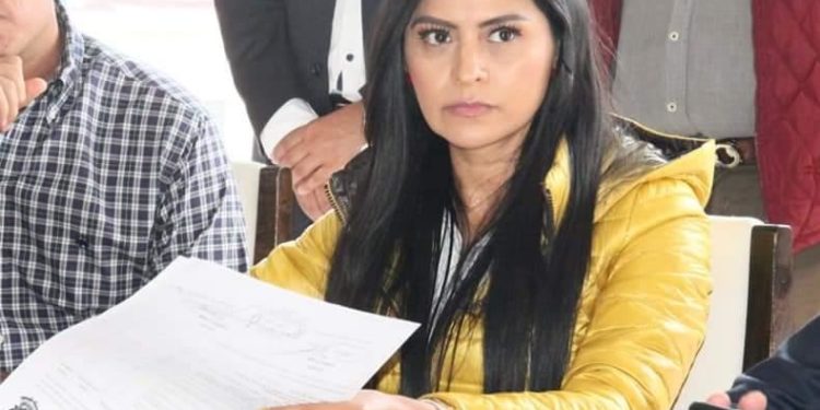 AMLO debe garantizar rumbo de México, sus cifras fuera de la realidad: Araceli Saucedo