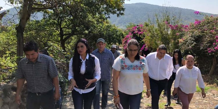 Crisis de agua en México debe tomarse con toda seriedad por gobiernos y sociedad: Araceli Saucedo