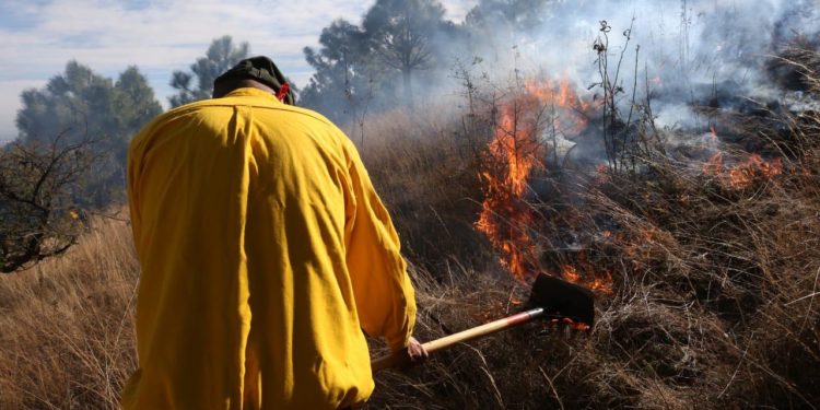 Inicia Michoacán combate a incendios forestales