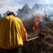 Inicia Michoacán combate a incendios forestales