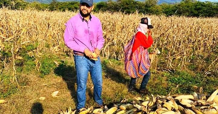 Debemos parar procesos de desertificación en nuestro campo: Octavio Ocampo