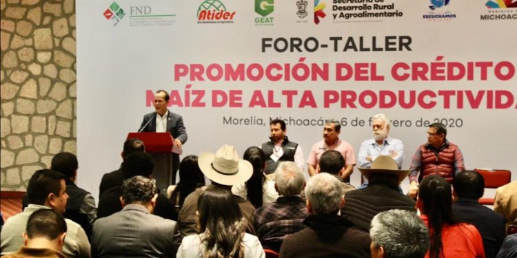 Va Michoacán por alto rendimiento en cultivo de maíz