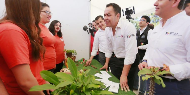 Insistir, resistir y persistir, las claves para el desarrollo del emprendedor