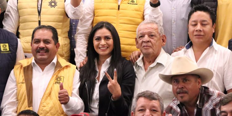 PRD retoma su papel histórico y defiende demandas sociales: Araceli Saucedo