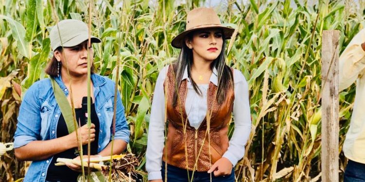 En el campo, el 9 la mujer no se mueve: Sedrua