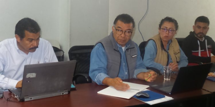 Consumir jugos verdes y piña, podría minimizar riesgos del COVID-19: Sedrua