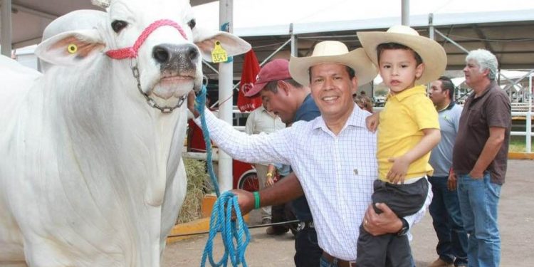 Fortalecerá Sedrua Sanidad pecuaria en Michoacán