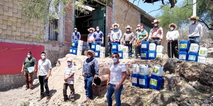 Gobierno estatal trabaja para restaurar productividad de suelos agrícolas