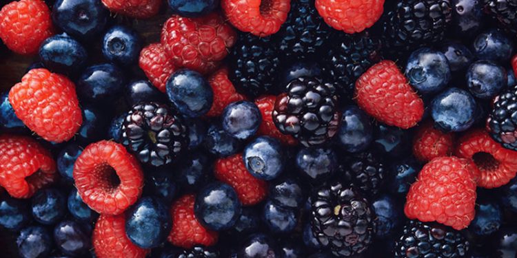 Industria agroalimentaria de Michoacán redobla medidas sanitarias