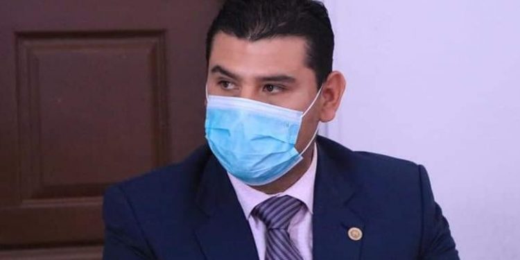 Dictamen para sesiones virtuales, debidamente fundamentado: Octavio Ocampo