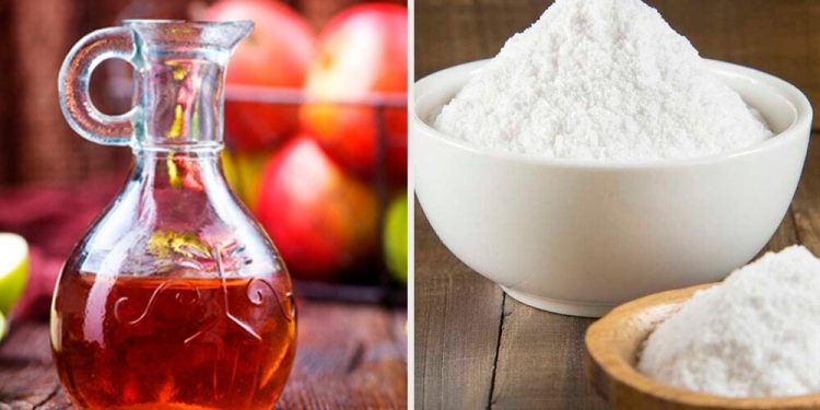 Desde casa se puede abonar al cuidado del medio ambiente