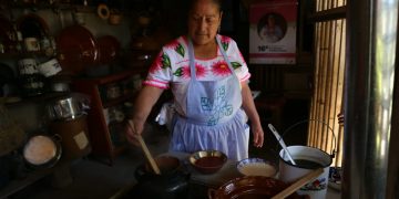 Estufas ahorradoras amigables con el medio ambiente