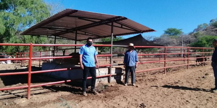 Supervisa Sedrua en Michoacán construcción de corrales de manejo