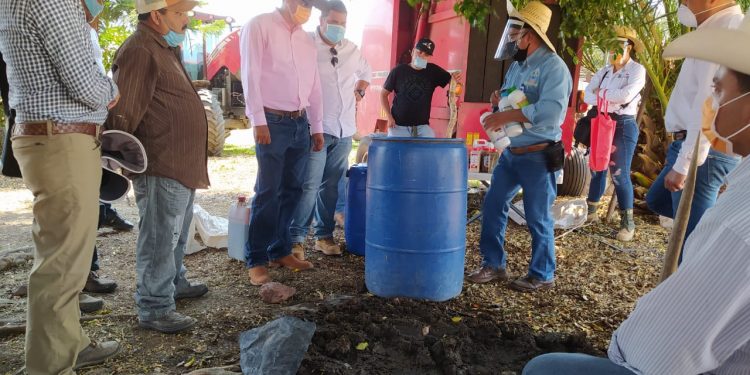 Trabaja Gobierno de Michoacán en recuperar la nutrición de suelos agrícolas